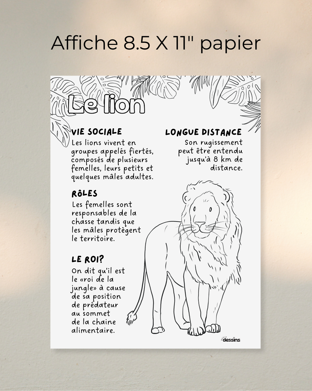 Faits intéressants | Lion