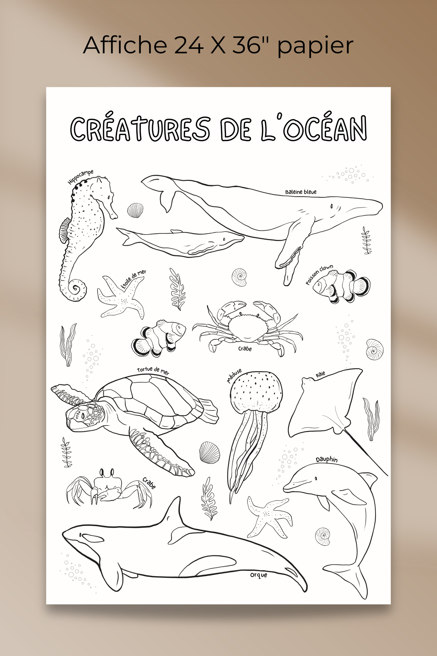 Giant coloring poster | Ocean Creatures