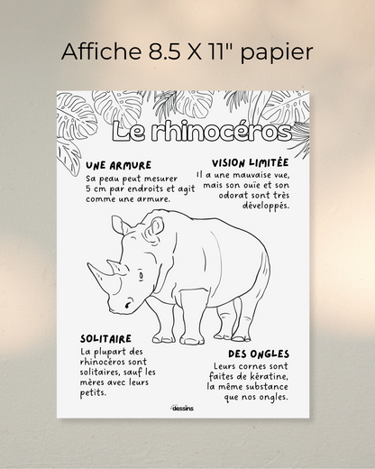 Faits intéressants | Rhinocéros