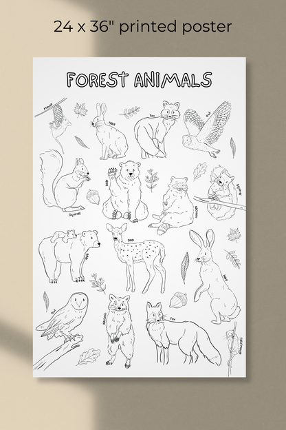 Affiche géante à colorier | Animaux de la forêt