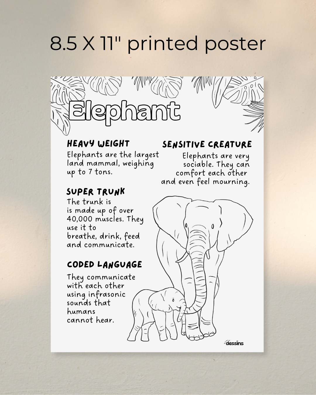 Faits intéressants | Éléphant