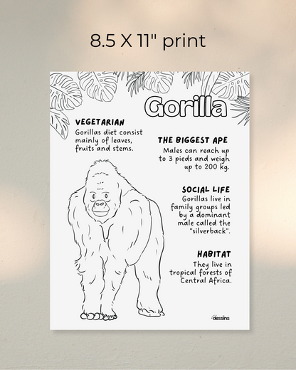 Fun facts | Gorilla