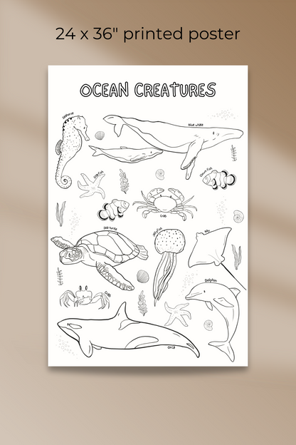 Giant coloring poster | Ocean Creatures