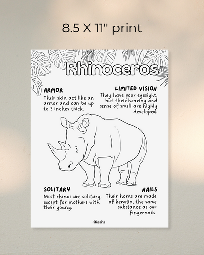 Faits intéressants | Rhinocéros