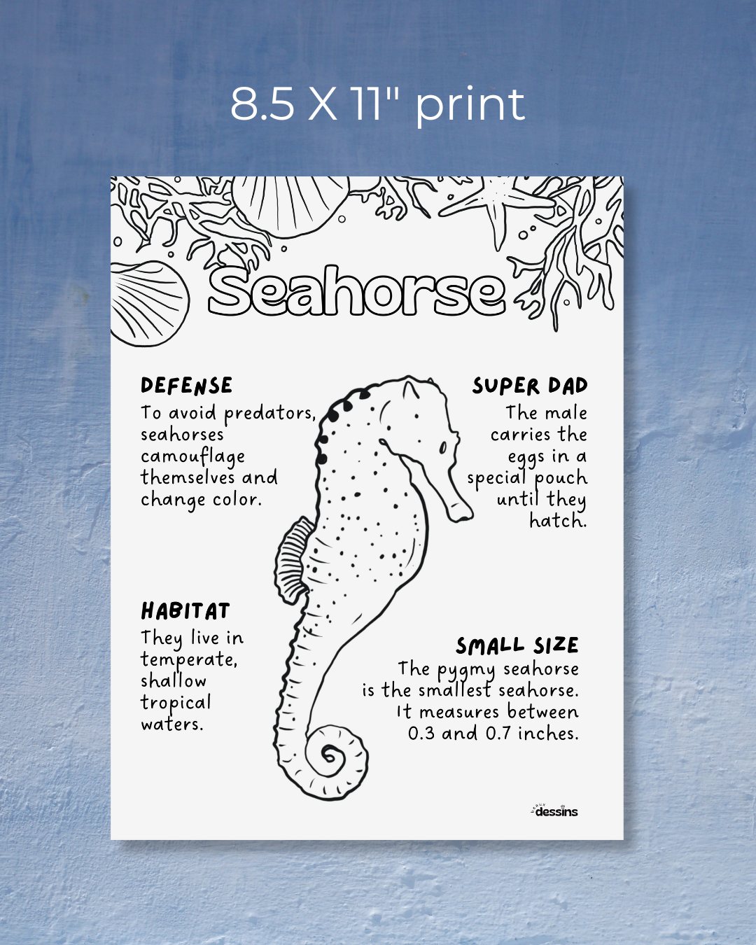 Fun facts | Seahorse