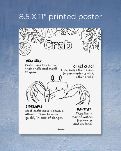 Fun facts | Crab